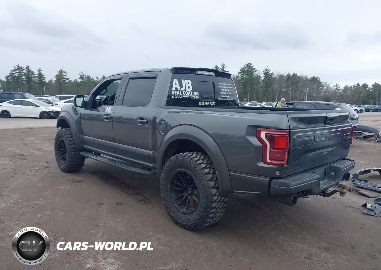 2018 Ford F-150 Raptor VIN:1FTFW1RG5JFC86490 - 3