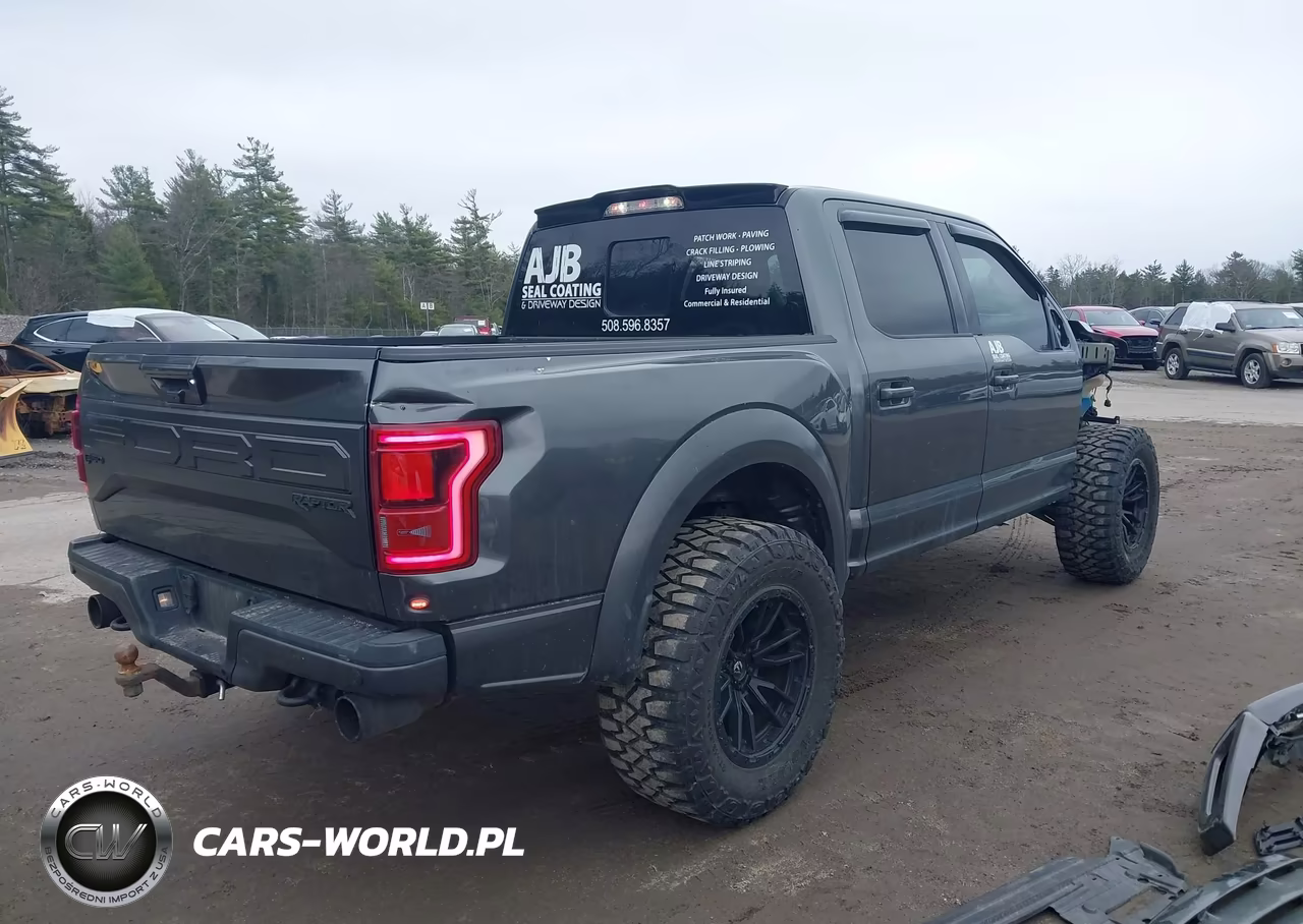 2018 Ford F-150 Raptor VIN:1FTFW1RG5JFC86490 - 4