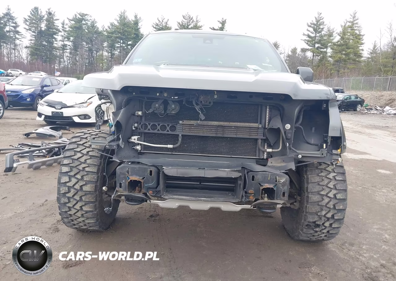 2018 Ford F-150 Raptor VIN:1FTFW1RG5JFC86490 - 6