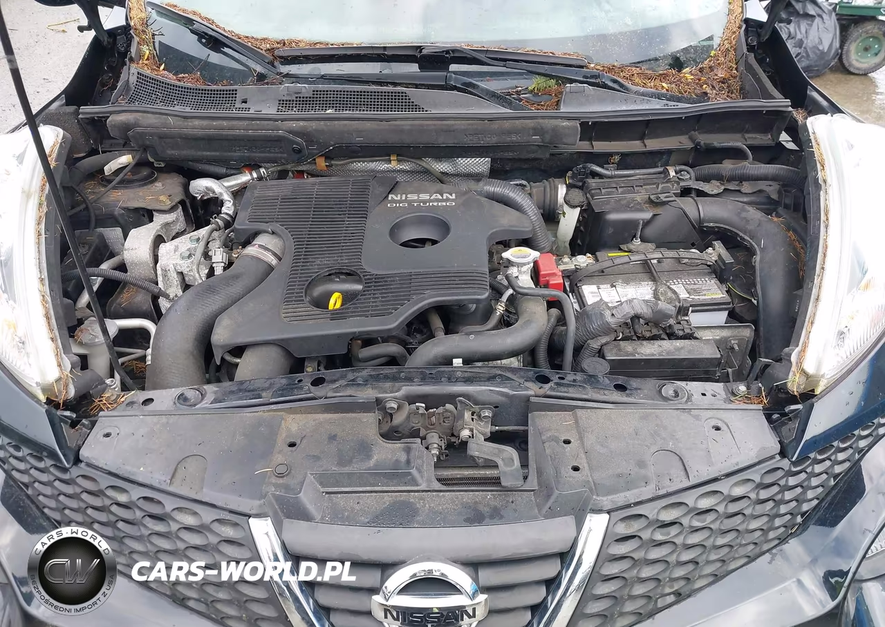 2013 Nissan Juke Sl VIN:JN8AF5MV2DT205785 - 10