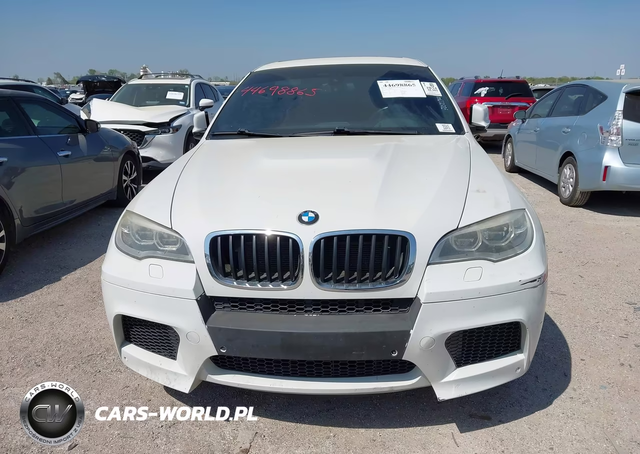 2014 BMW X6 M VIN:5YMGZ0C5XE0C40637 - 12