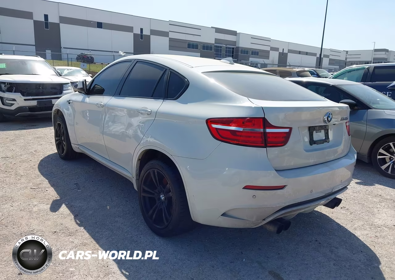 2014 BMW X6 M VIN:5YMGZ0C5XE0C40637 - 3