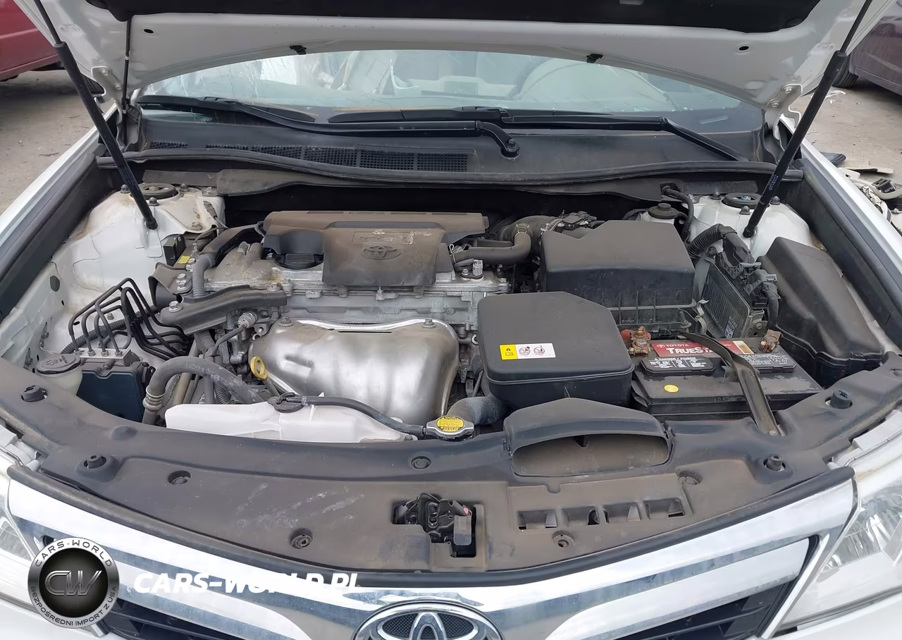 2014 Toyota Camry Xle VIN:4T1BF1FK4EU409216 - 10