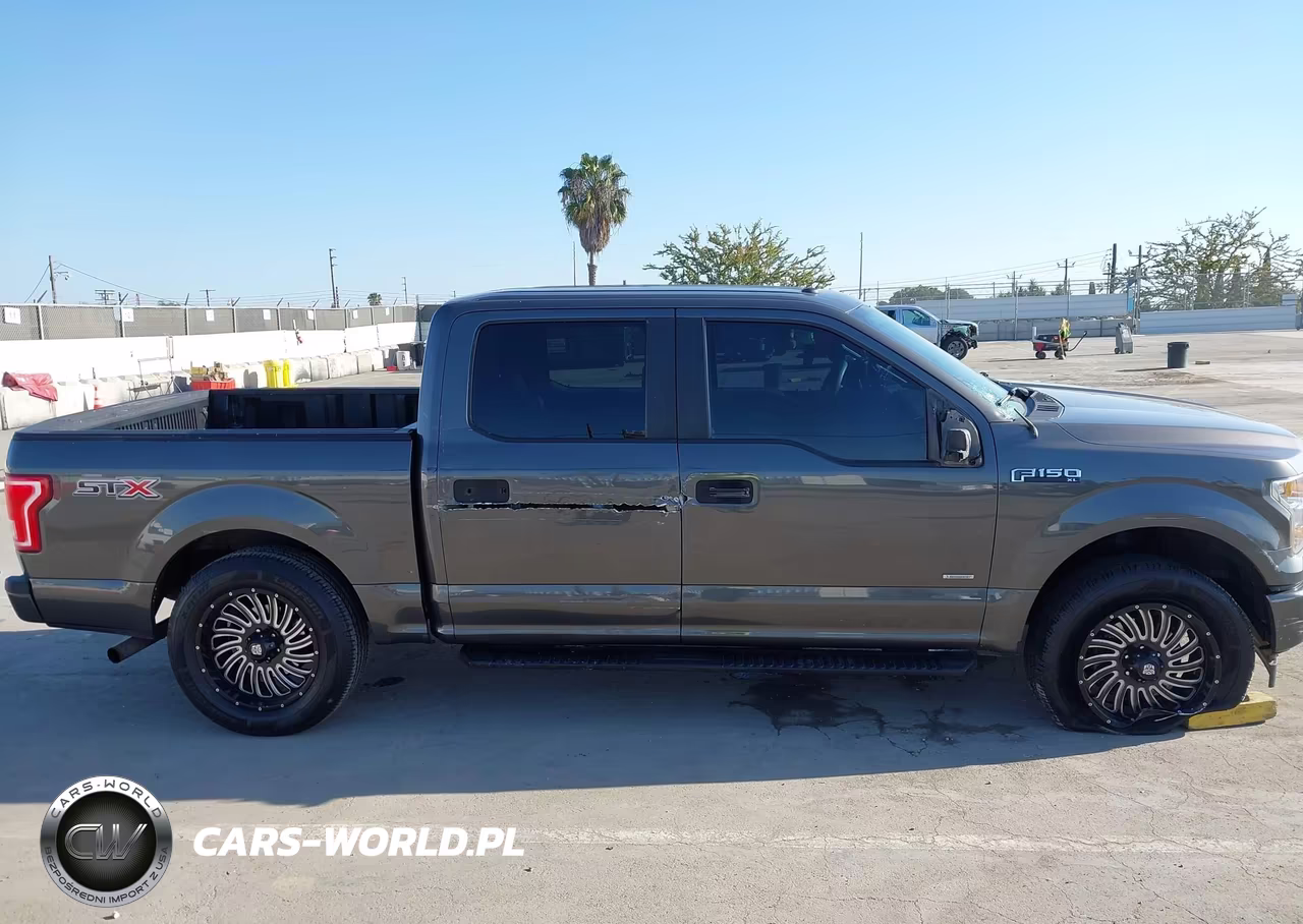 2017 Ford F-150 Xl VIN:1FTEW1CP7HKE13861 - 13