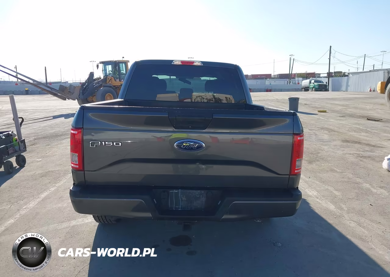 2017 Ford F-150 Xl VIN:1FTEW1CP7HKE13861 - 16