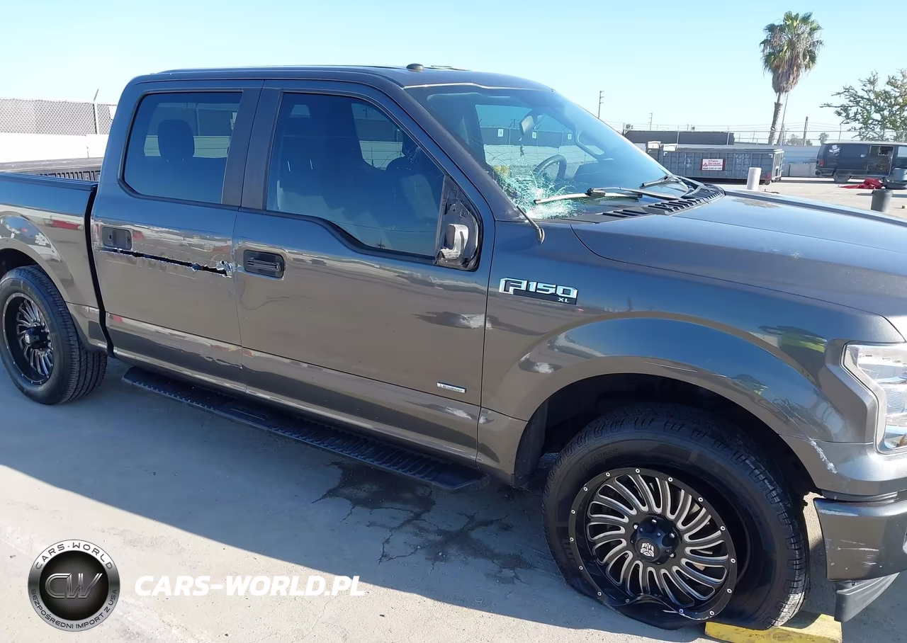2017 Ford F-150 Xl VIN:1FTEW1CP7HKE13861 - 6
