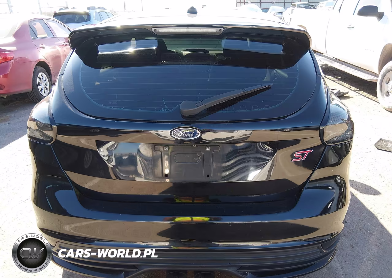 2016 Ford Focus St VIN:1FADP3L94GL218837 - 16