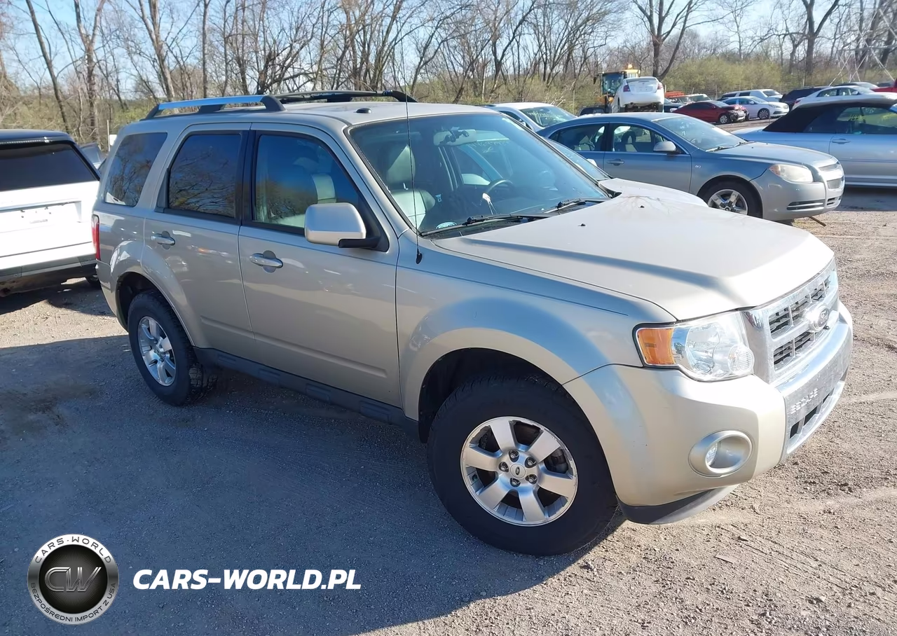 2010 Ford Escape Limited