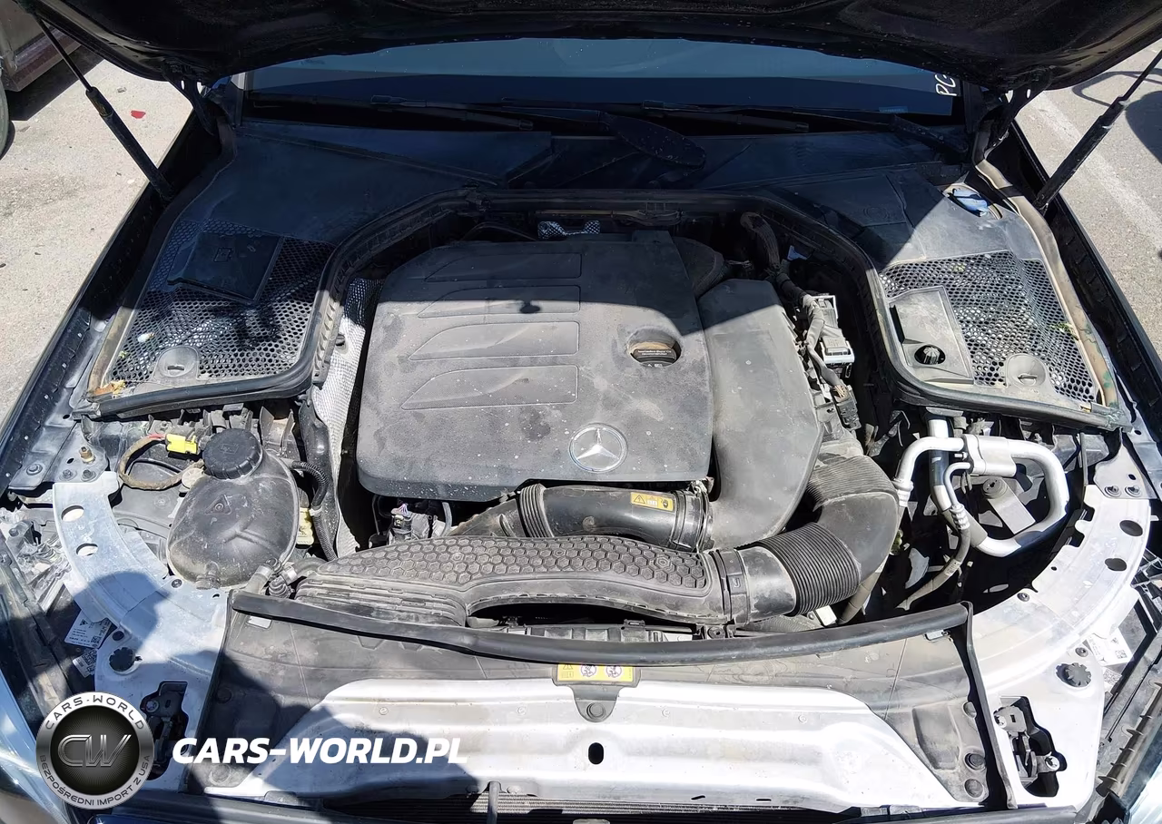 2019 Mercedes-Benz C 300 4Matic VIN:55SWF8EB5KU282916 - 10