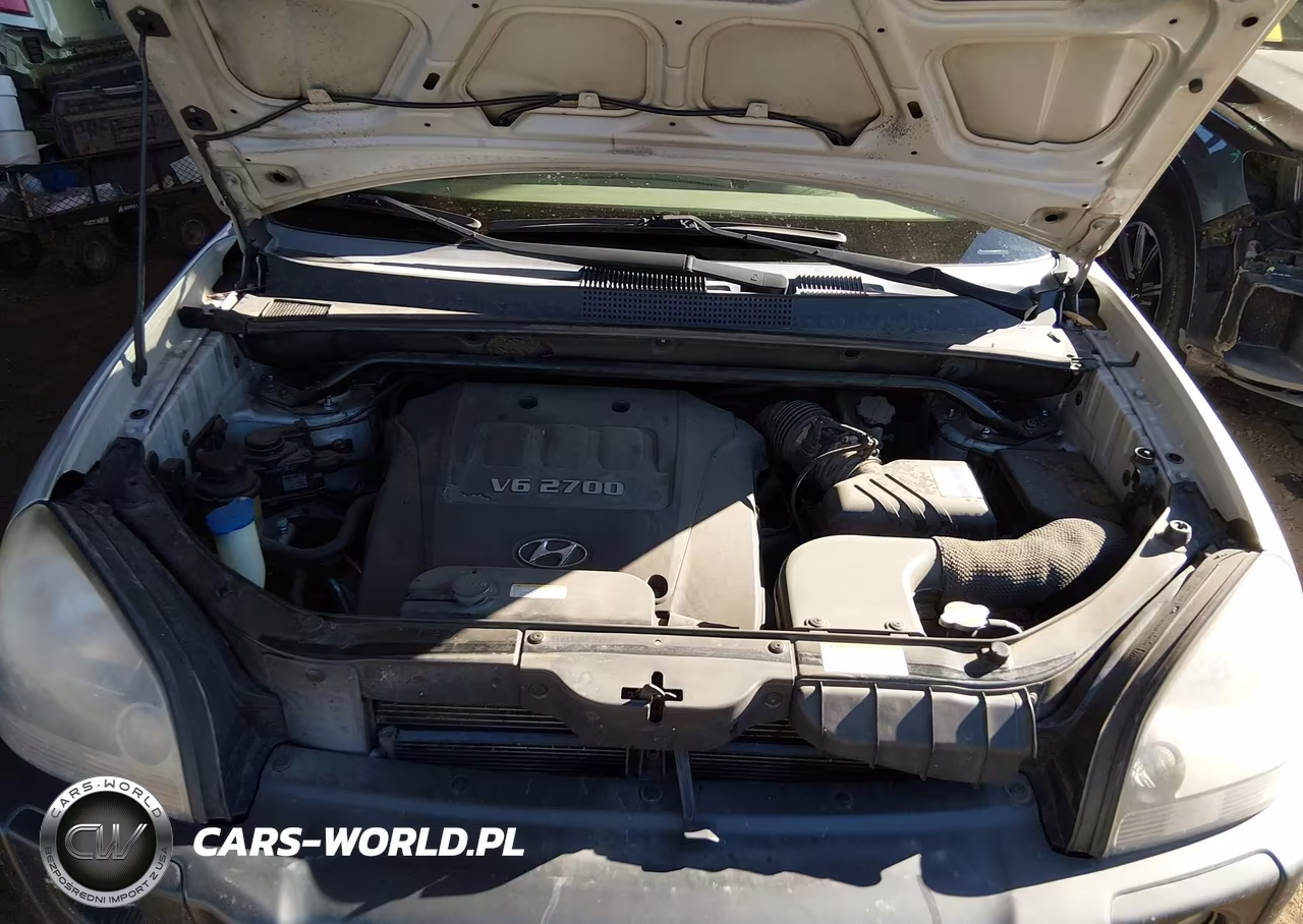 2007 Hyundai Tucson Limited-Se VIN:KM8JN72D57U616726 - 10