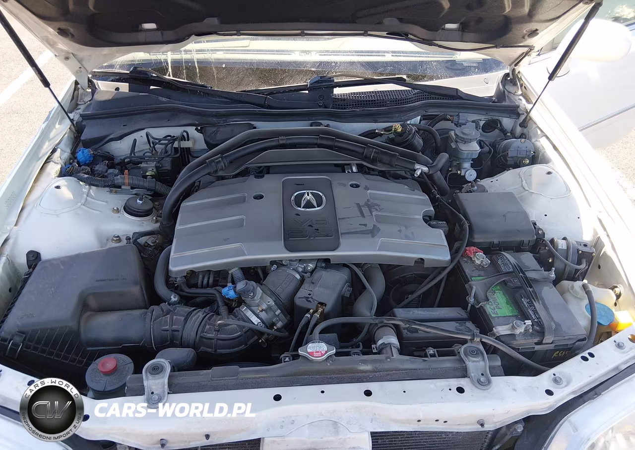 2004 Acura Rl 3.5 VIN:JH4KA96664C001808 - 10