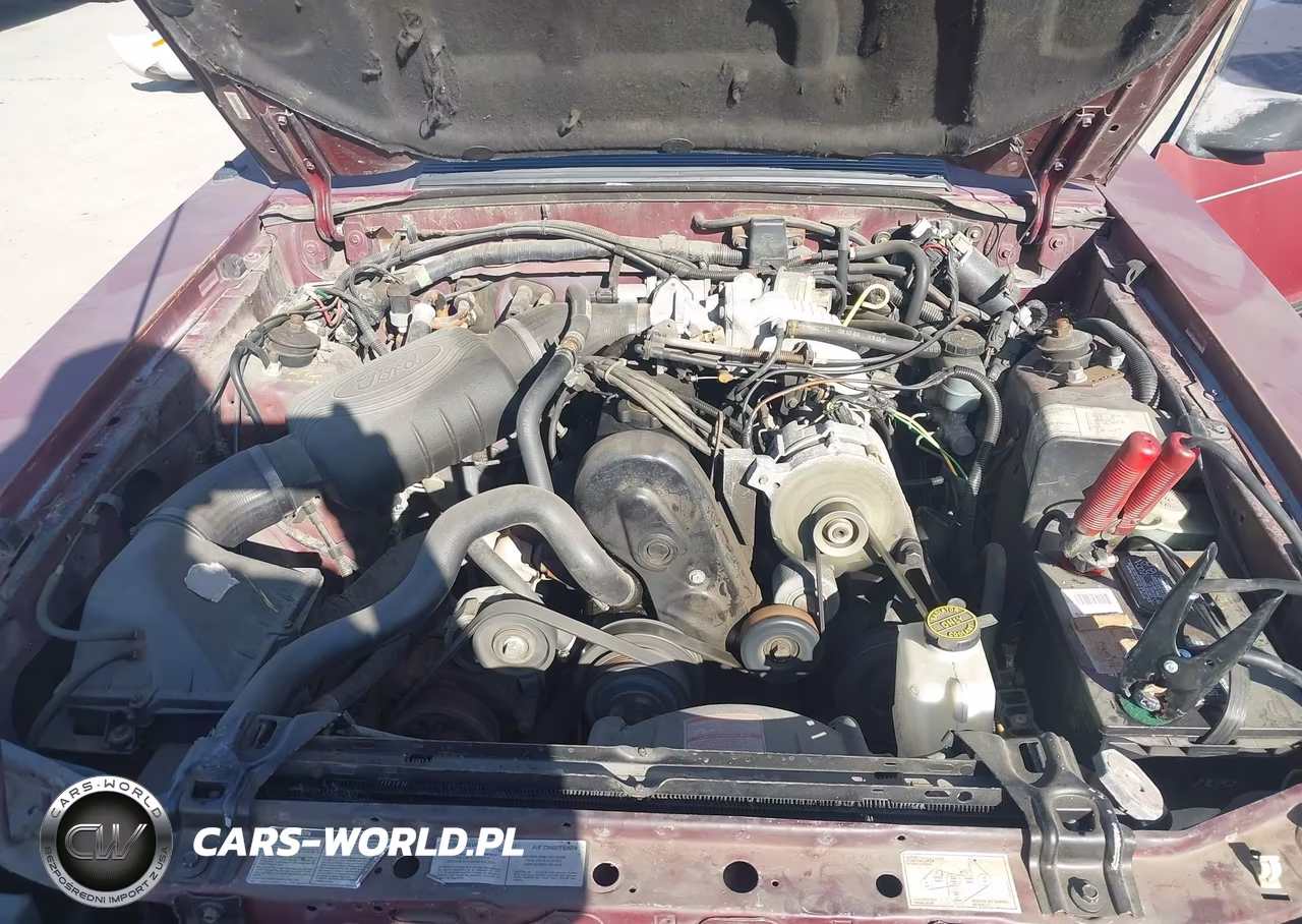1989 Ford Mustang Lx VIN:1FABP41A0KF126593 - 10