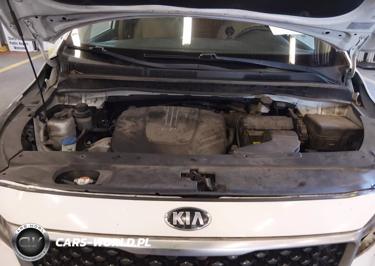 2016 Kia Sedona Lx VIN:KNDMB5C19G6191163 - 10
