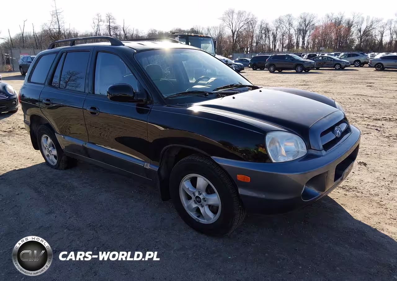 2006 Hyundai Santa Fe Gls