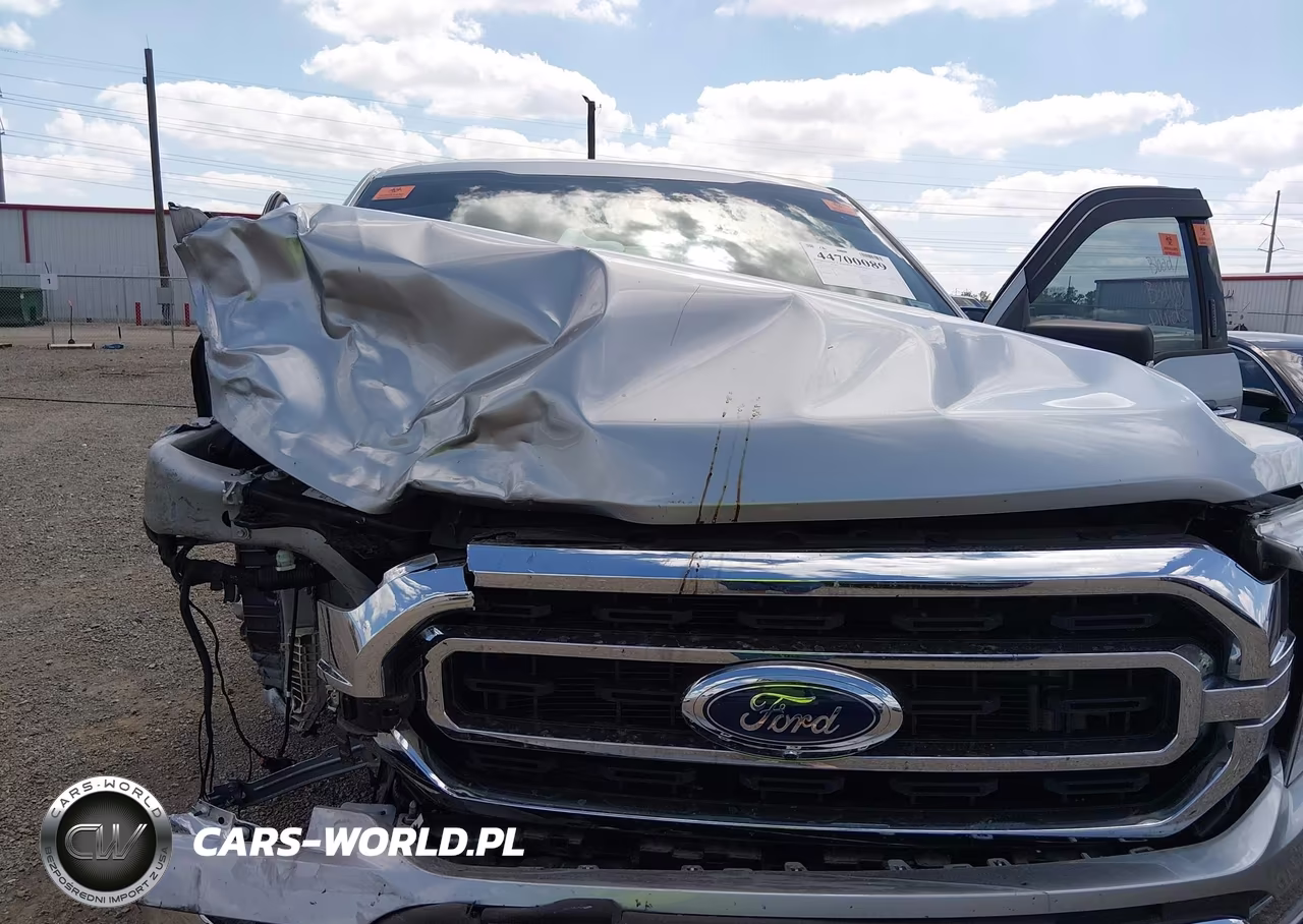 2023 Ford F-150 Xlt VIN:1FTEW1CP8PFD33637 - 10
