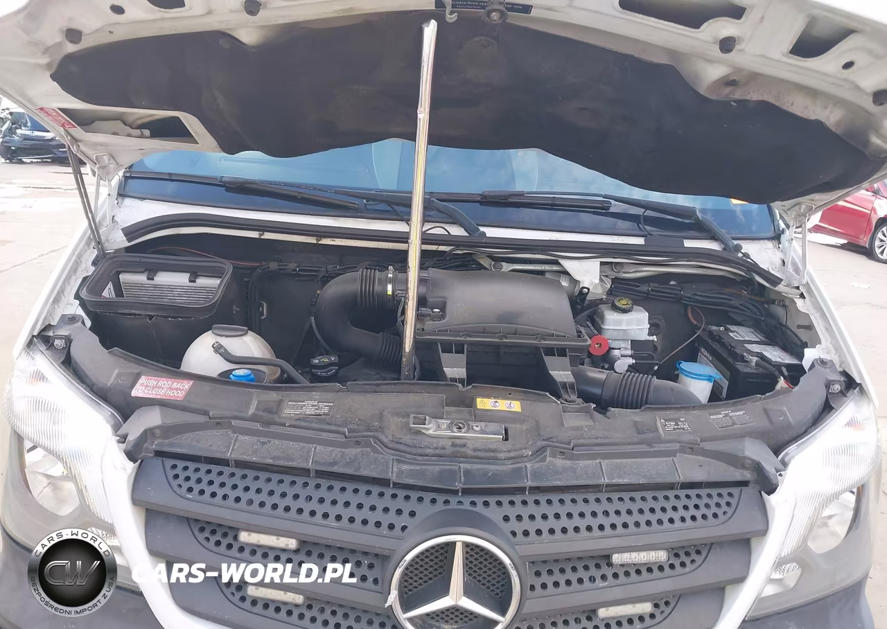 2017 Mercedes-Benz Sprinter 2500 Standard Roof V6 VIN:WD3PE7CD9HP386986 - 10