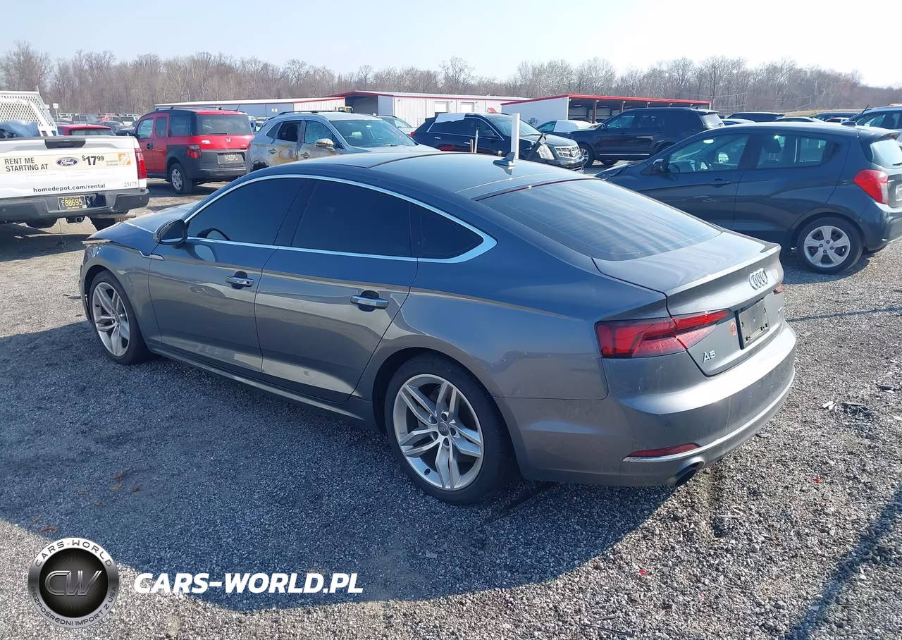 2019 Audi A5 45 Premium VIN:WAUBNCF58KA073528 - 3