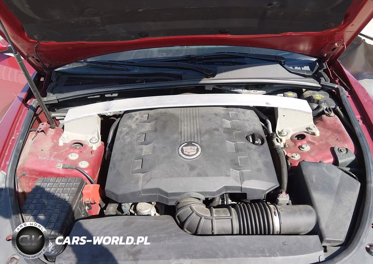 2010 Cadillac Cts Luxury VIN:1G6DE5EG1A0139404 - 10