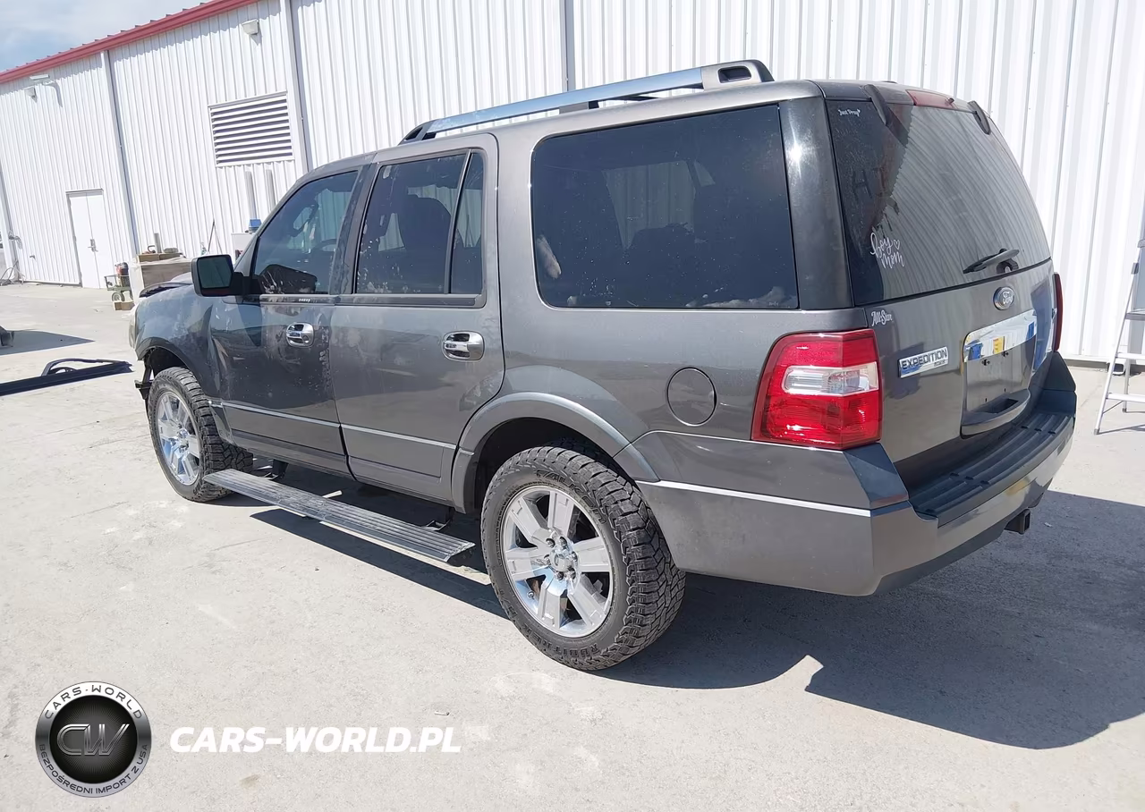 2010 Ford Expedition Limited VIN:1FMJU2A58AEA00634 - 3