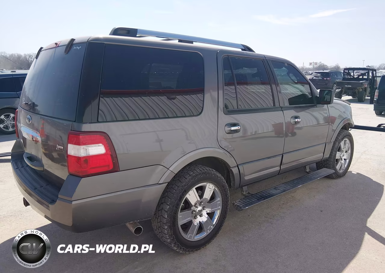 2010 Ford Expedition Limited VIN:1FMJU2A58AEA00634 - 4