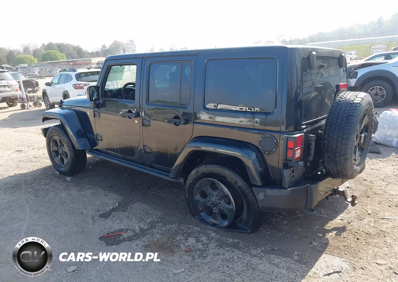 2015 Jeep Wrangler Unlimited Altitude VIN:1C4BJWEG1FL766387 - 3