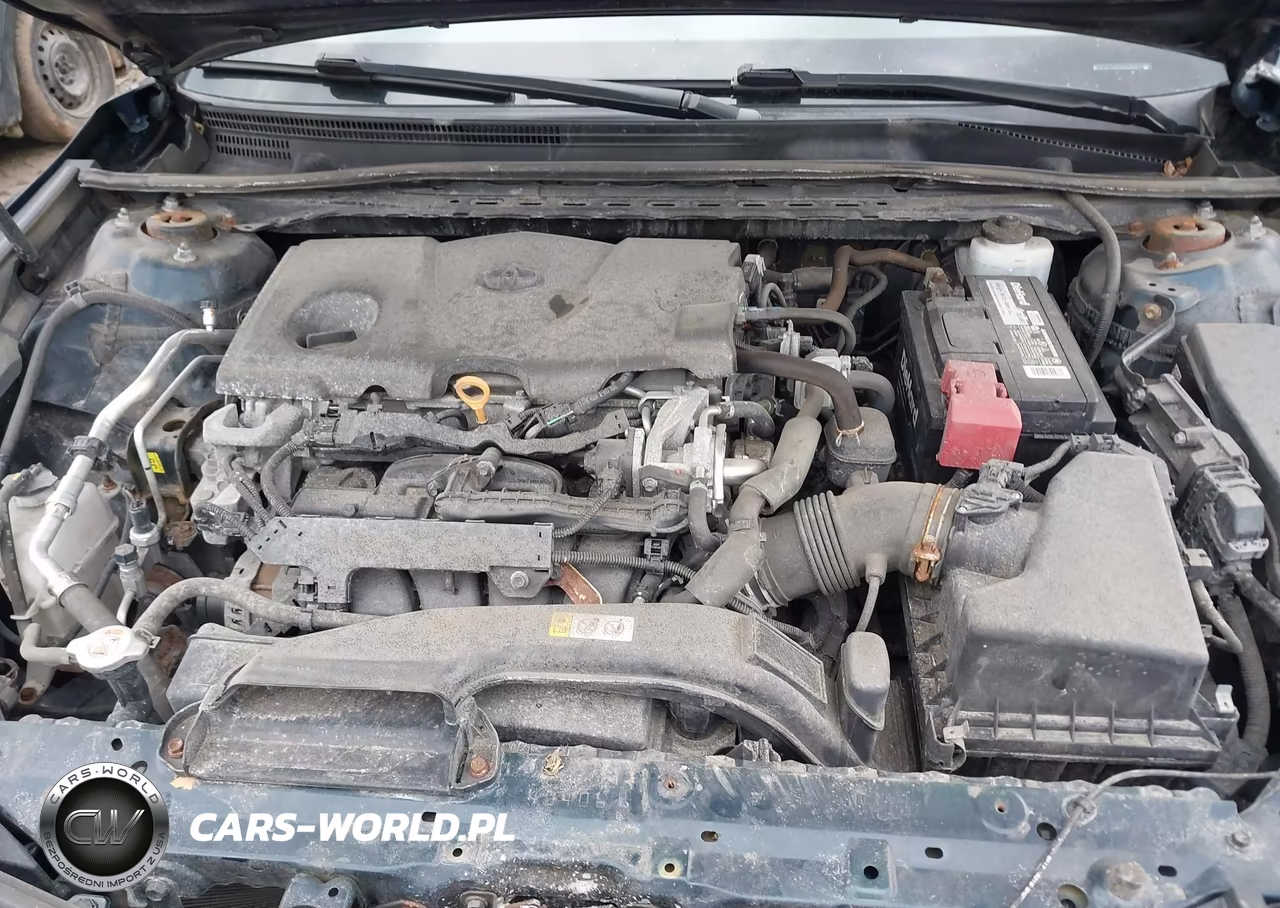 2019 Toyota Camry Le VIN:4T1B11HK2KU282621 - 10