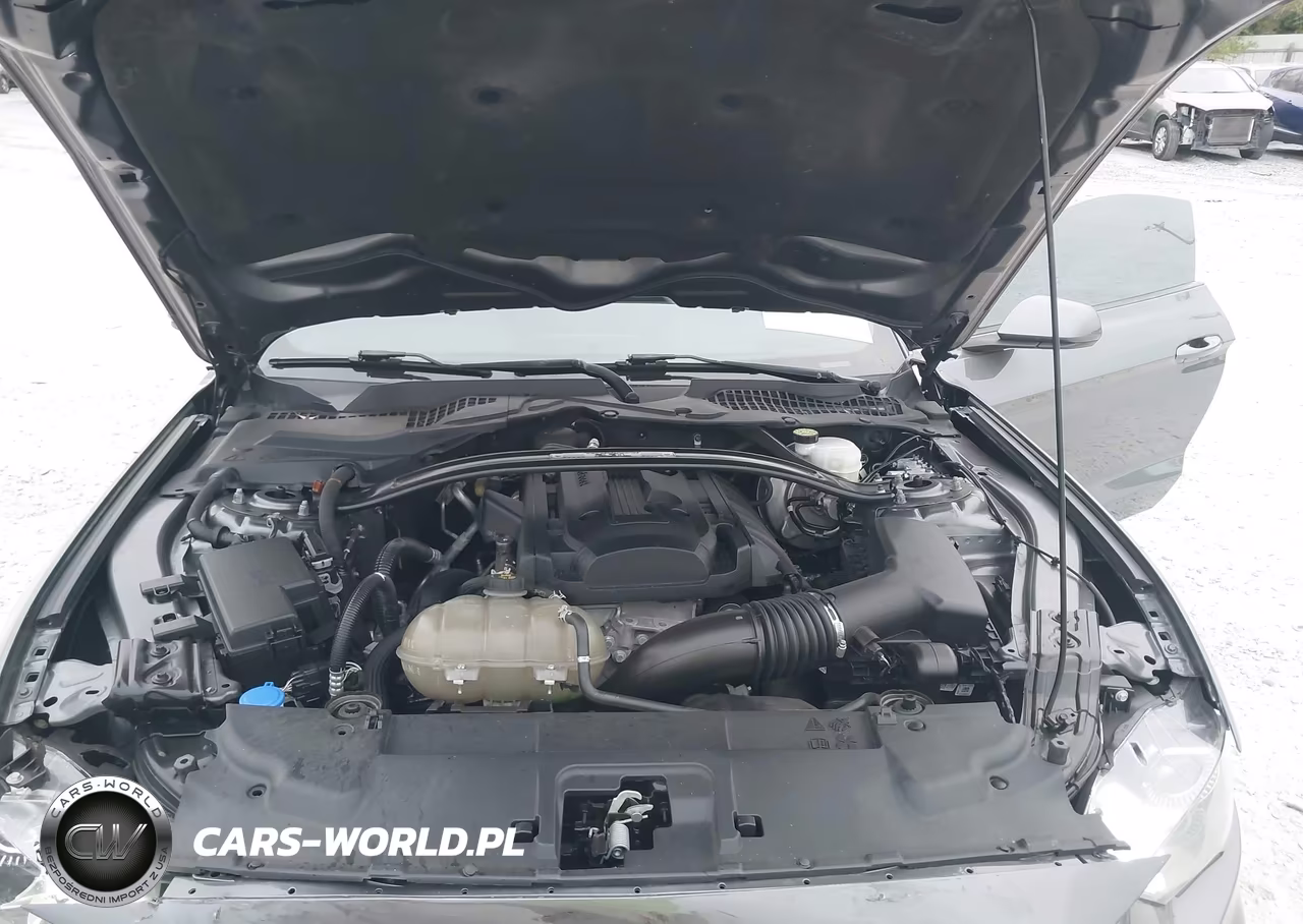 2021 Ford Mustang Ecoboost Fastback VIN:1FA6P8TD6M5120161 - 10