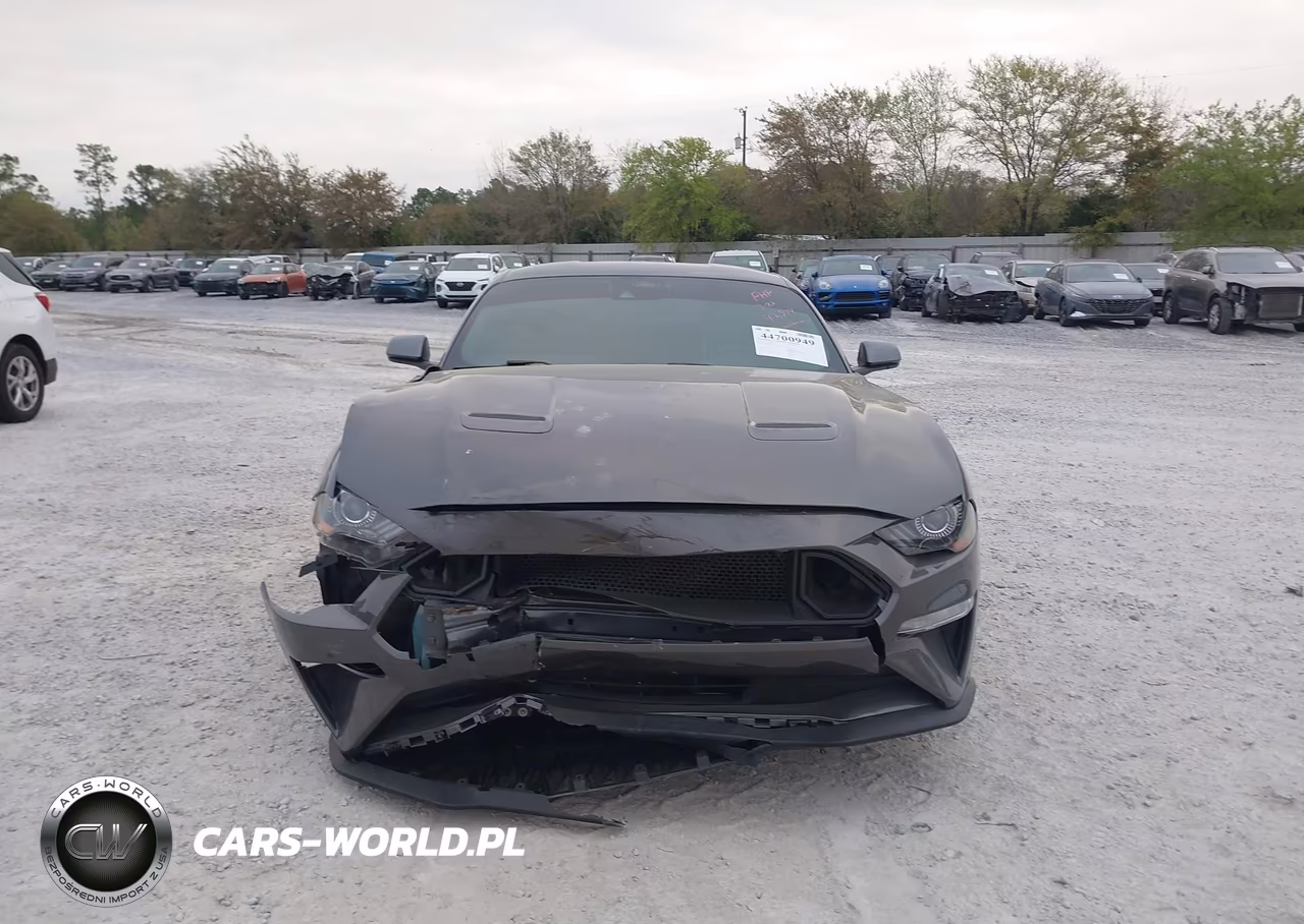 2021 Ford Mustang Ecoboost Fastback VIN:1FA6P8TD6M5120161 - 12