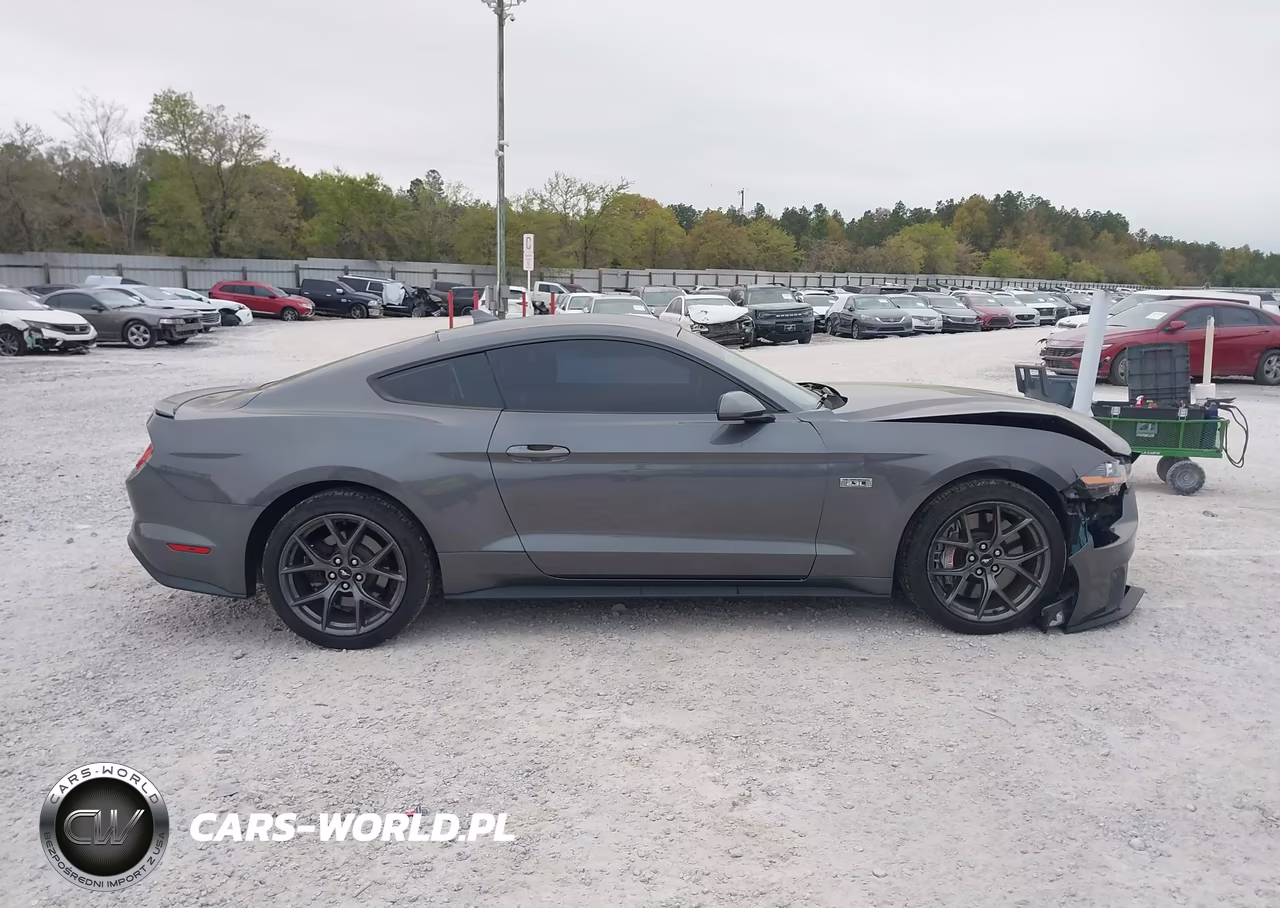 2021 Ford Mustang Ecoboost Fastback VIN:1FA6P8TD6M5120161 - 13