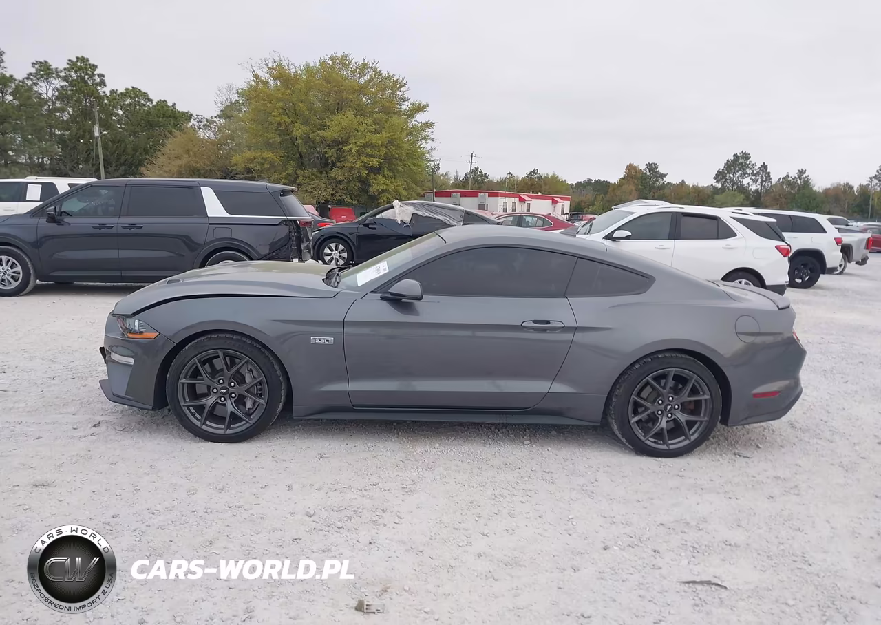 2021 Ford Mustang Ecoboost Fastback VIN:1FA6P8TD6M5120161 - 14