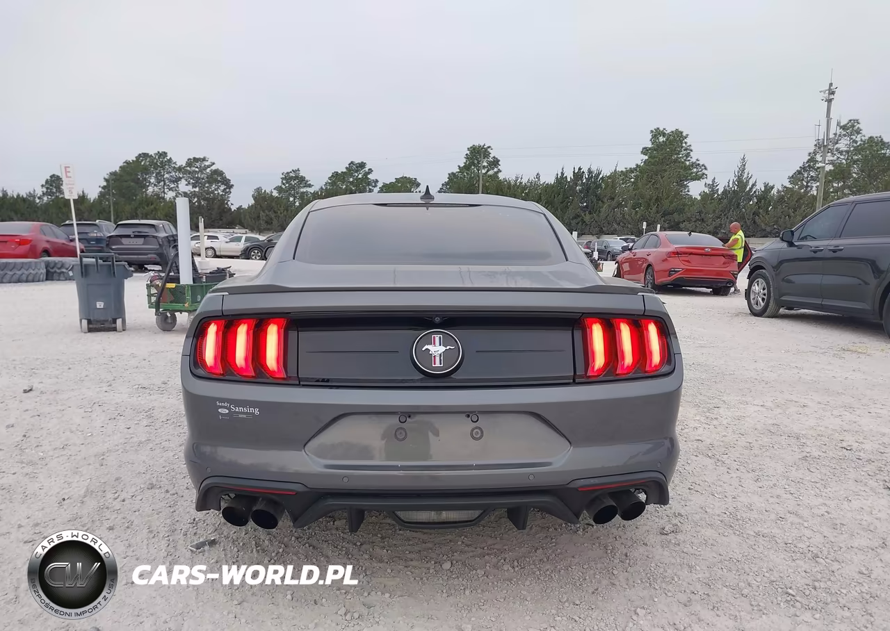 2021 Ford Mustang Ecoboost Fastback VIN:1FA6P8TD6M5120161 - 16