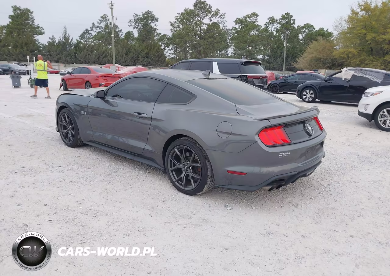 2021 Ford Mustang Ecoboost Fastback VIN:1FA6P8TD6M5120161 - 3