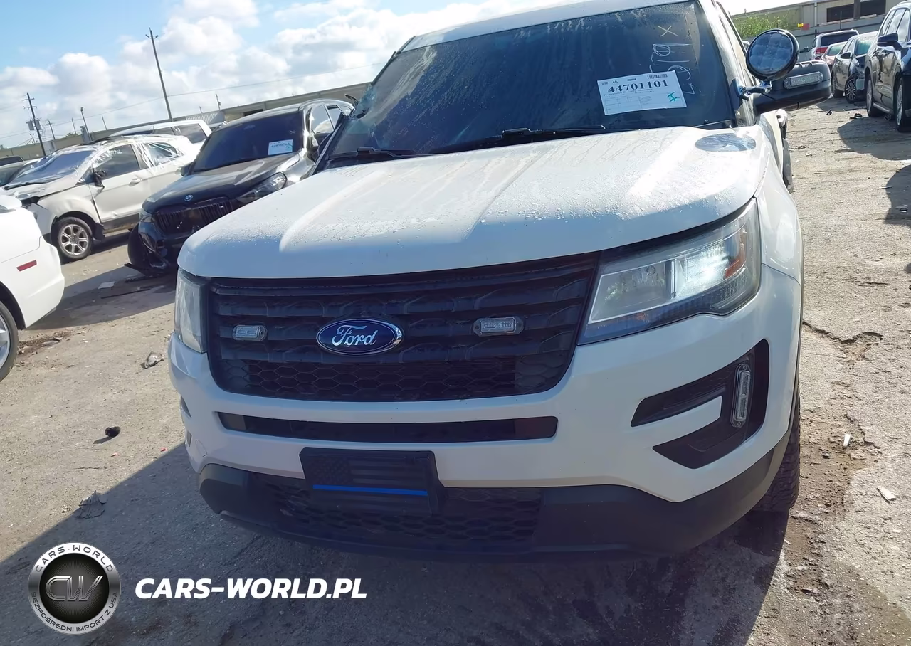2019 Ford Police Interceptor Utility VIN:1FM5K8AR6KGA62519 - 12