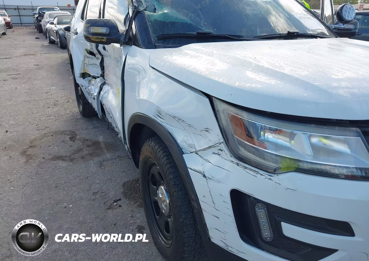 2019 Ford Police Interceptor Utility VIN:1FM5K8AR6KGA62519 - 6