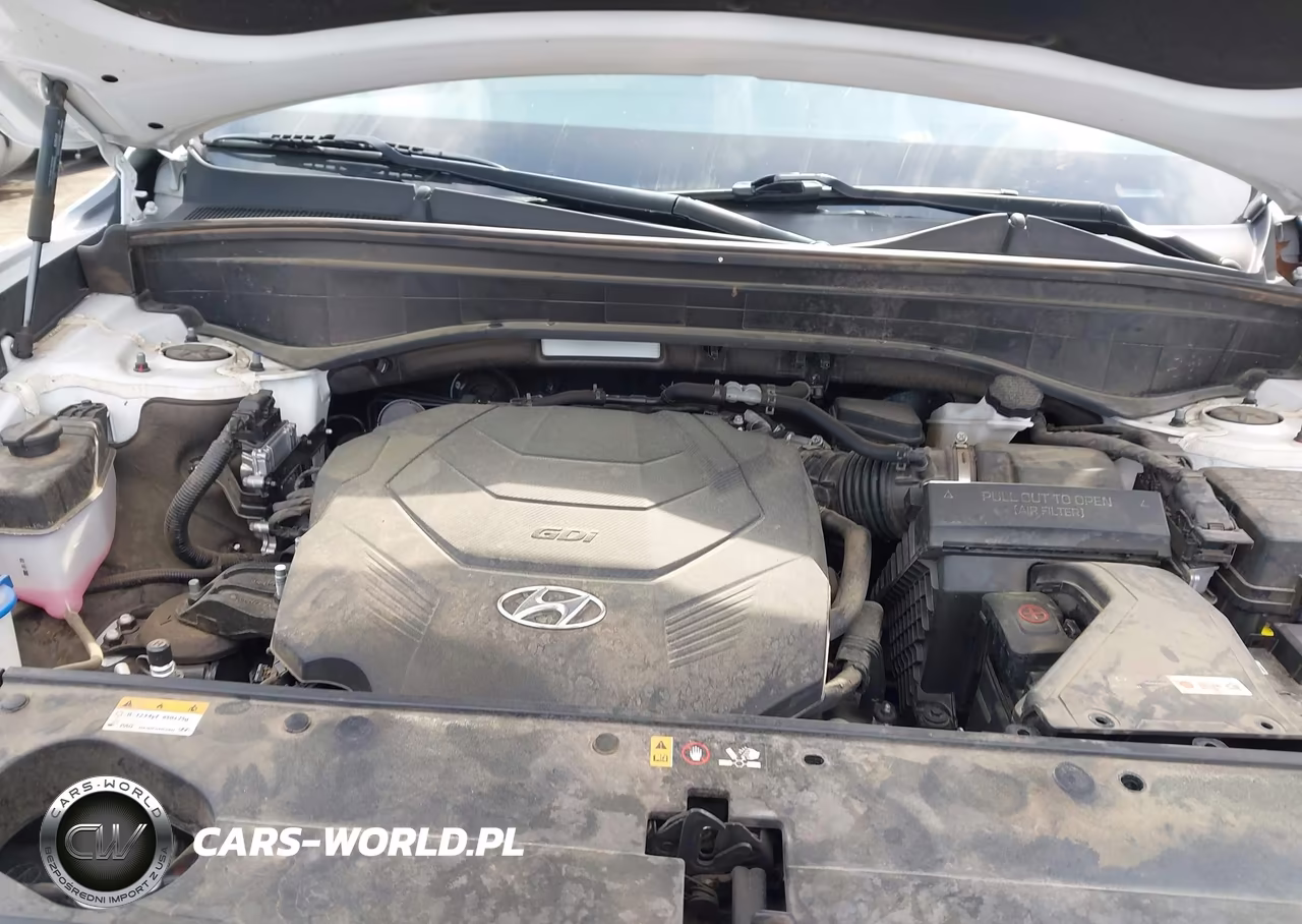 2023 Hyundai Palisade Calligraphy VIN:KM8R74GE1PU517771 - 10