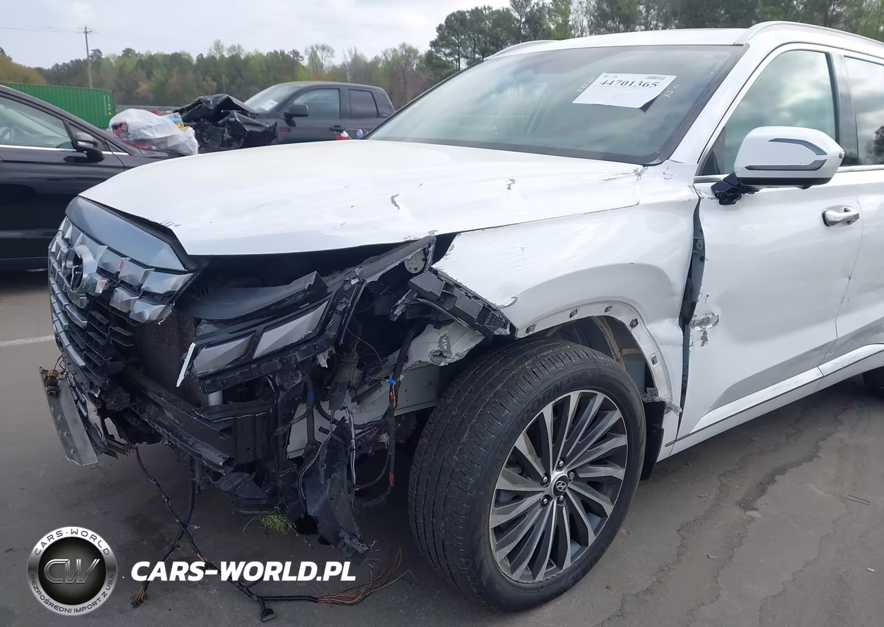 2023 Hyundai Palisade Calligraphy VIN:KM8R74GE1PU517771 - 17