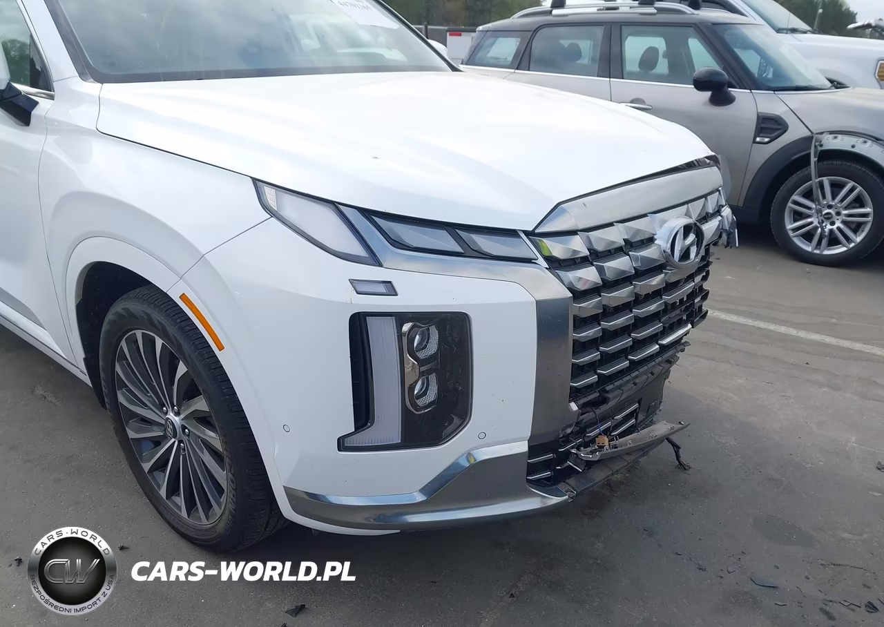 2023 Hyundai Palisade Calligraphy VIN:KM8R74GE1PU517771 - 19