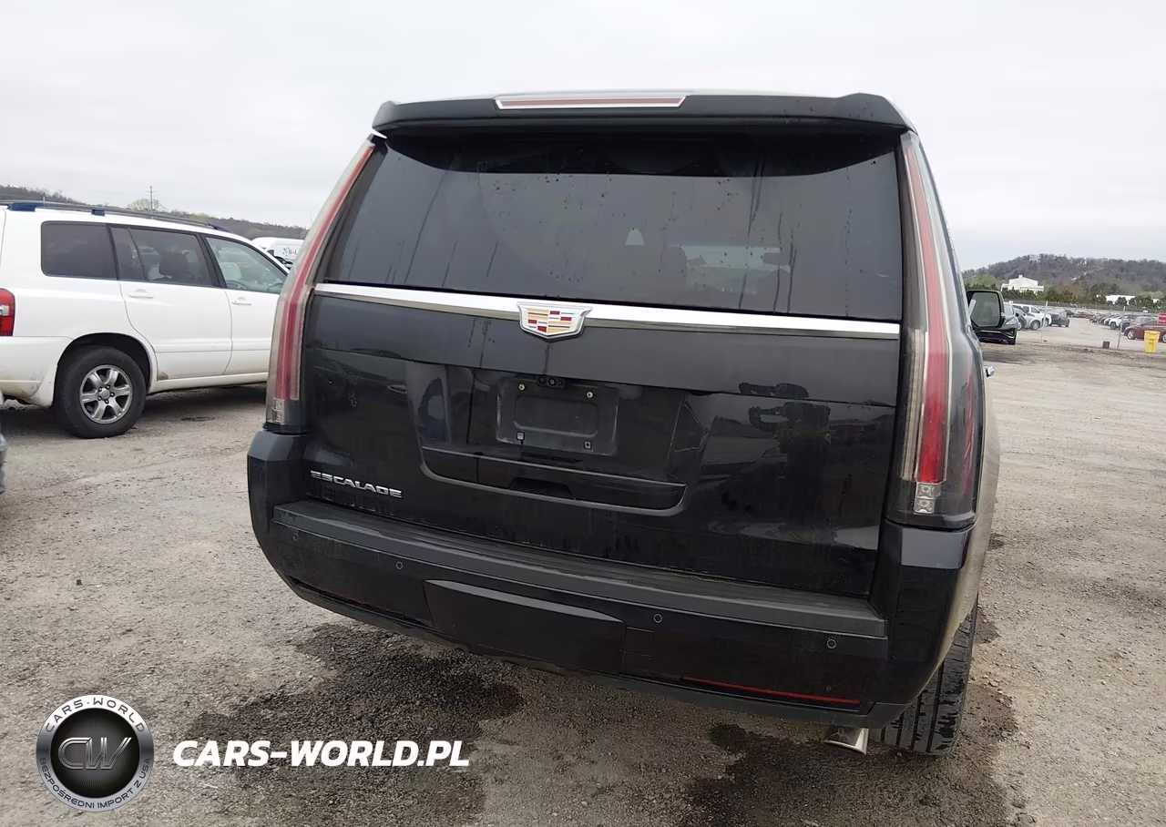2020 Cadillac Escalade 4Wd Premium Luxury VIN:1GYS4CKJ3LR122382 - 17