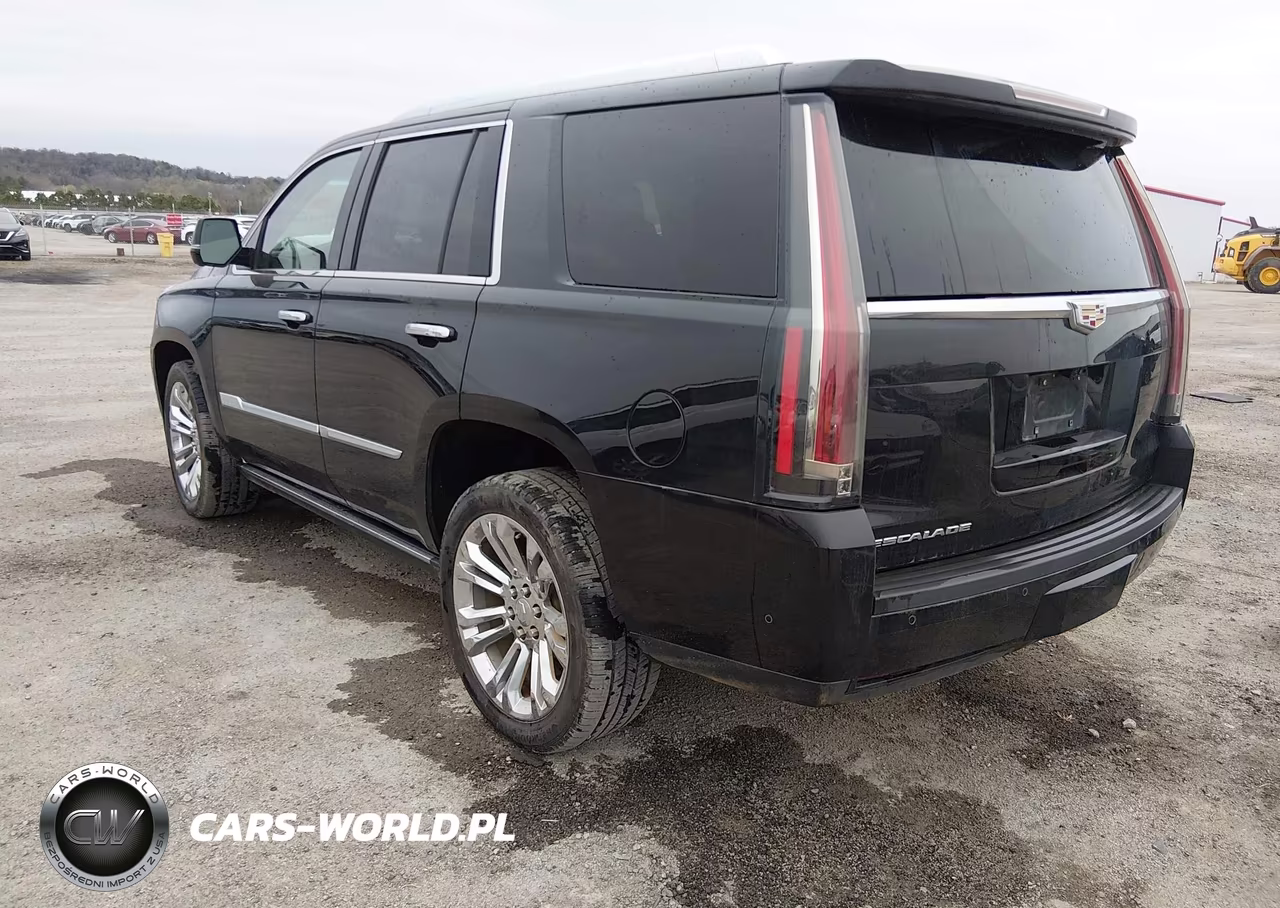 2020 Cadillac Escalade 4Wd Premium Luxury VIN:1GYS4CKJ3LR122382 - 3