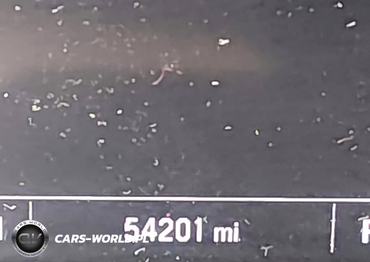 2024 GMC Sierra 1500 4Wd Short Box Pro VIN:1GTUUAED0RZ150819 - 15
