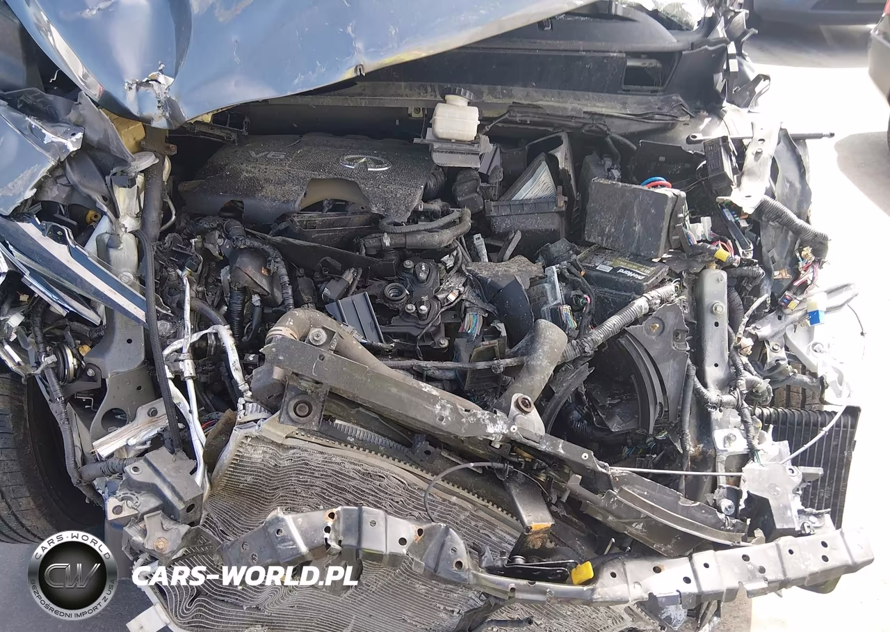 2019 Infiniti Qx60 Pure VIN:5N1DL0MM9KC559209 - 10