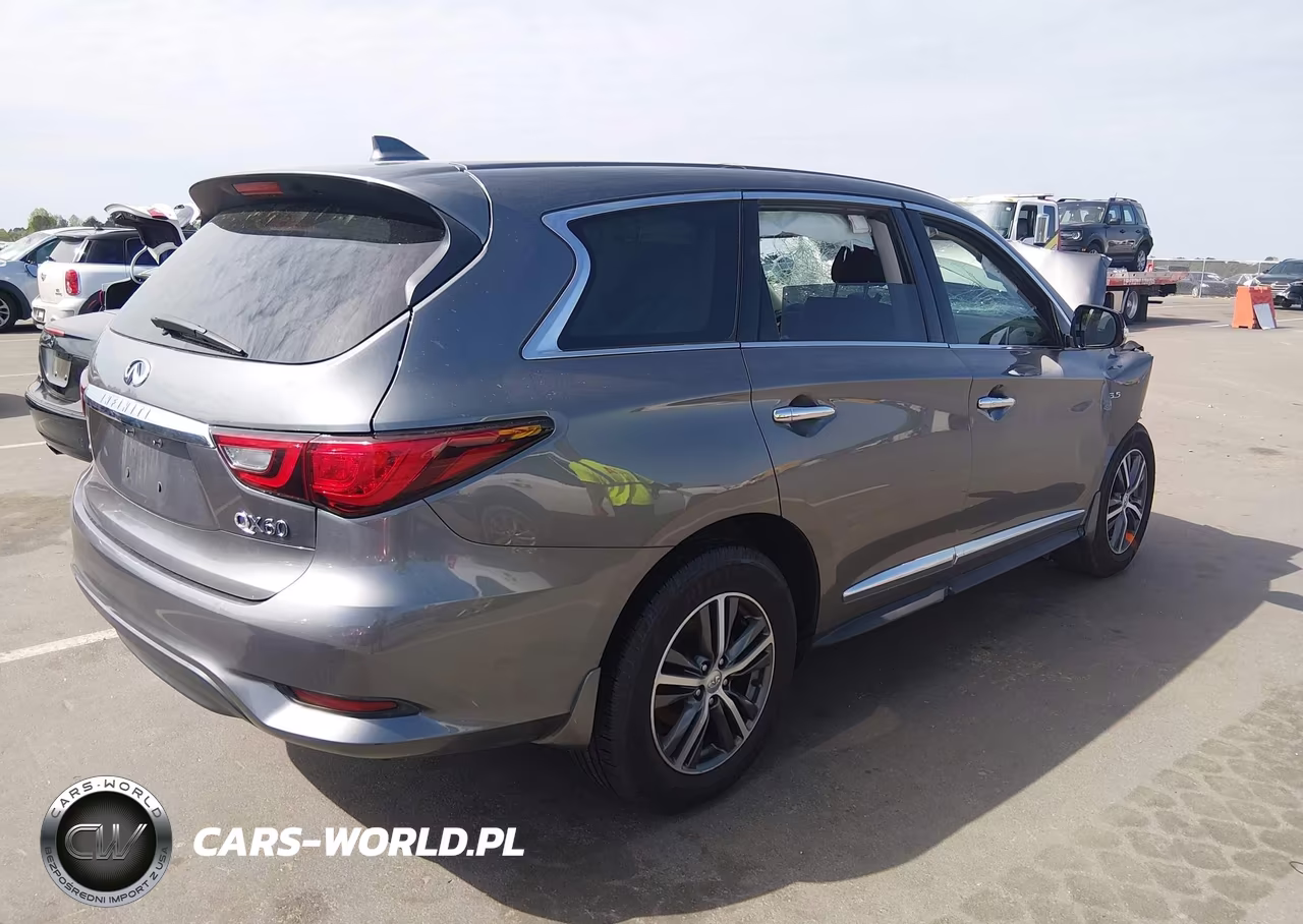 2019 Infiniti Qx60 Pure VIN:5N1DL0MM9KC559209 - 4