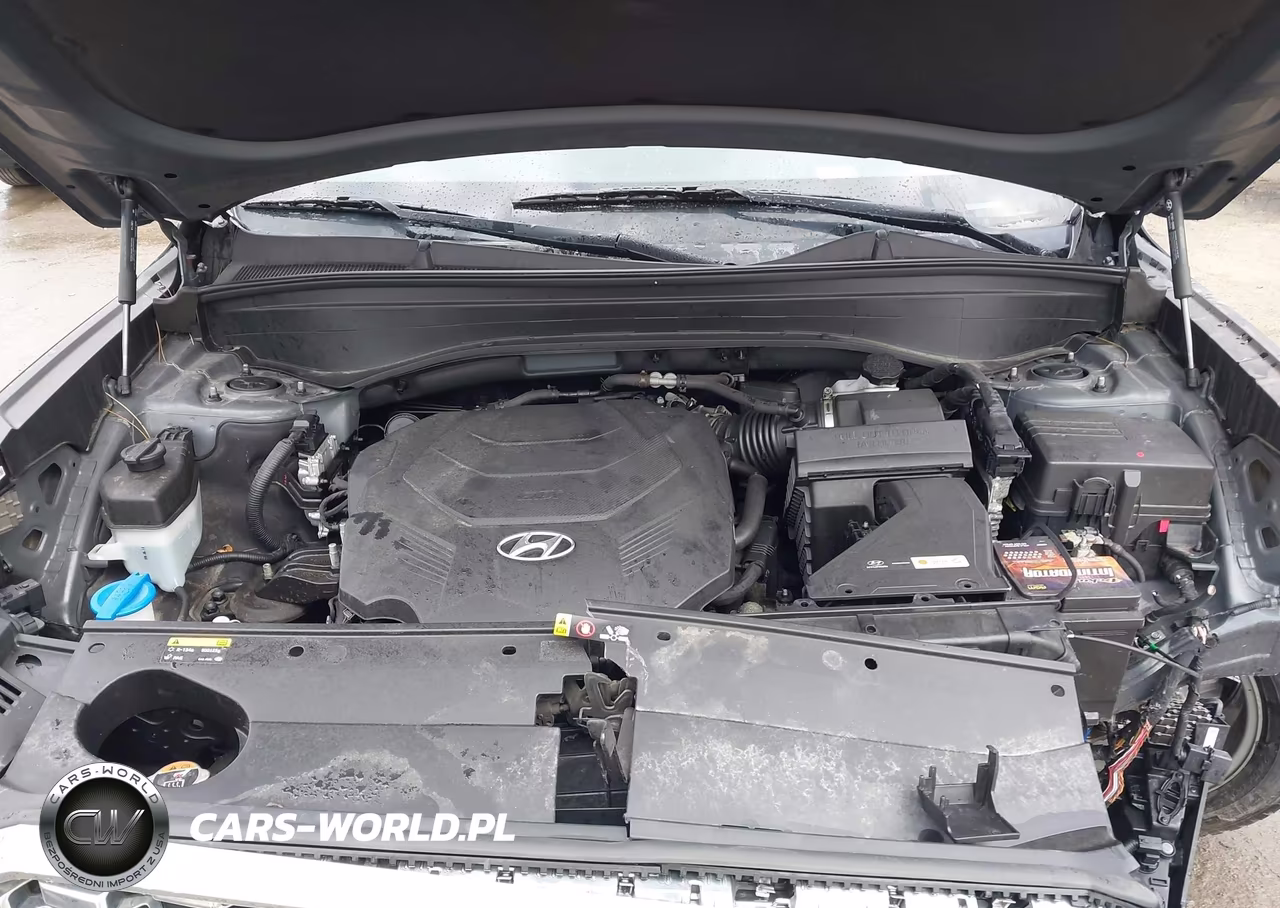 2020 Hyundai Palisade Sel VIN:KM8R4DHE9LU038337 - 10