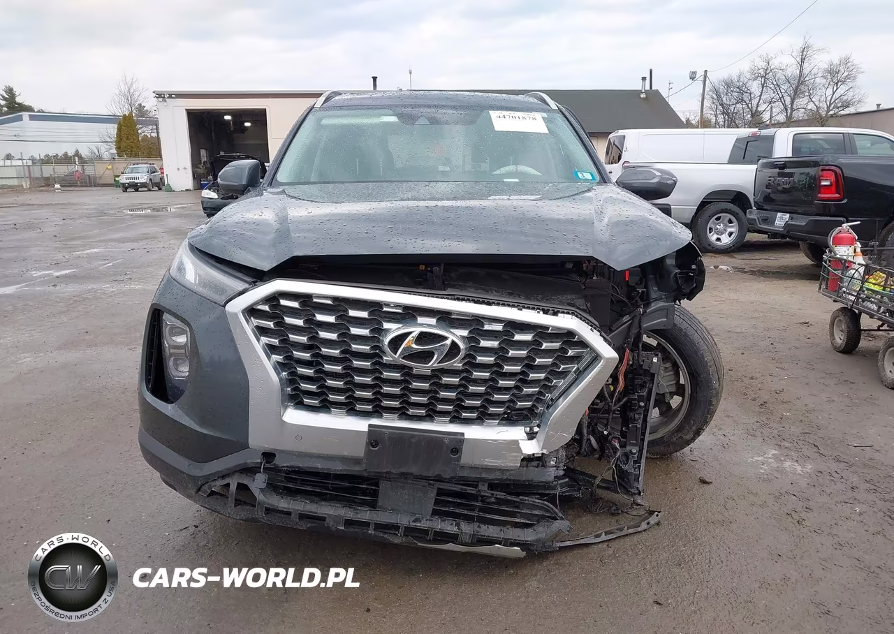 2020 Hyundai Palisade Sel VIN:KM8R4DHE9LU038337 - 12