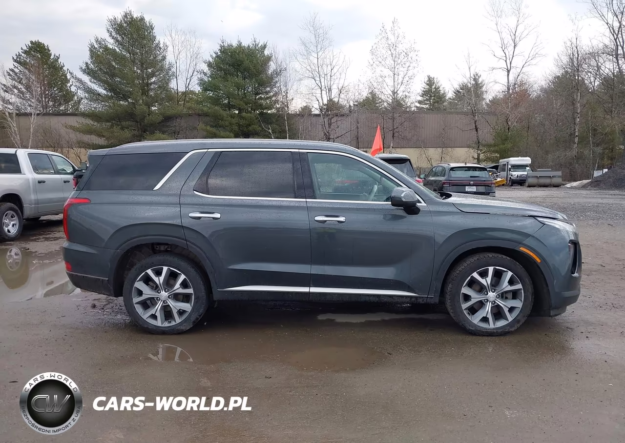 2020 Hyundai Palisade Sel VIN:KM8R4DHE9LU038337 - 13