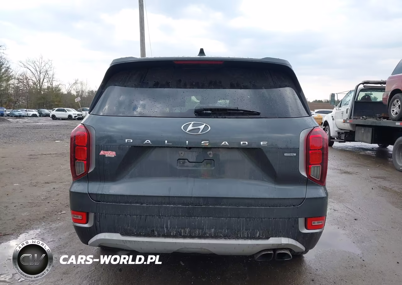 2020 Hyundai Palisade Sel VIN:KM8R4DHE9LU038337 - 16