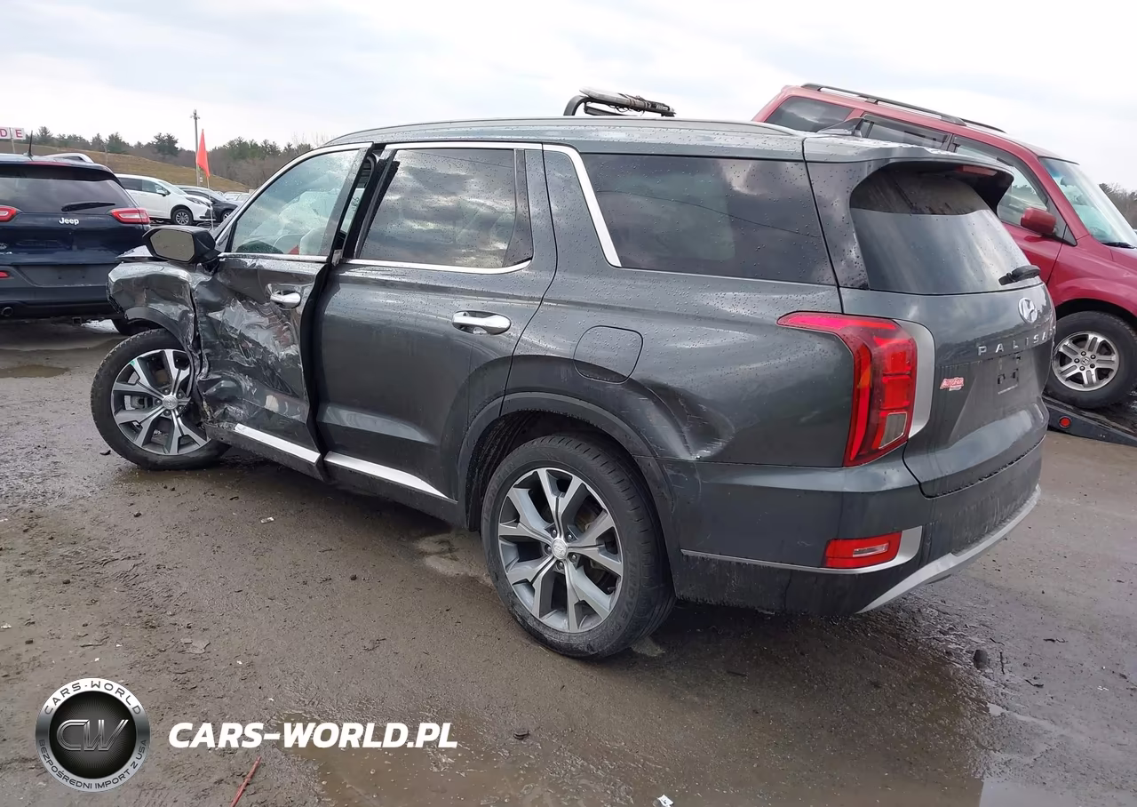 2020 Hyundai Palisade Sel VIN:KM8R4DHE9LU038337 - 3