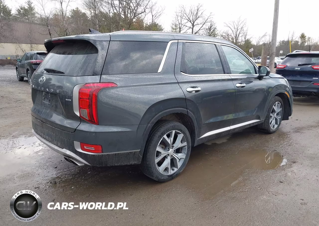 2020 Hyundai Palisade Sel VIN:KM8R4DHE9LU038337 - 4