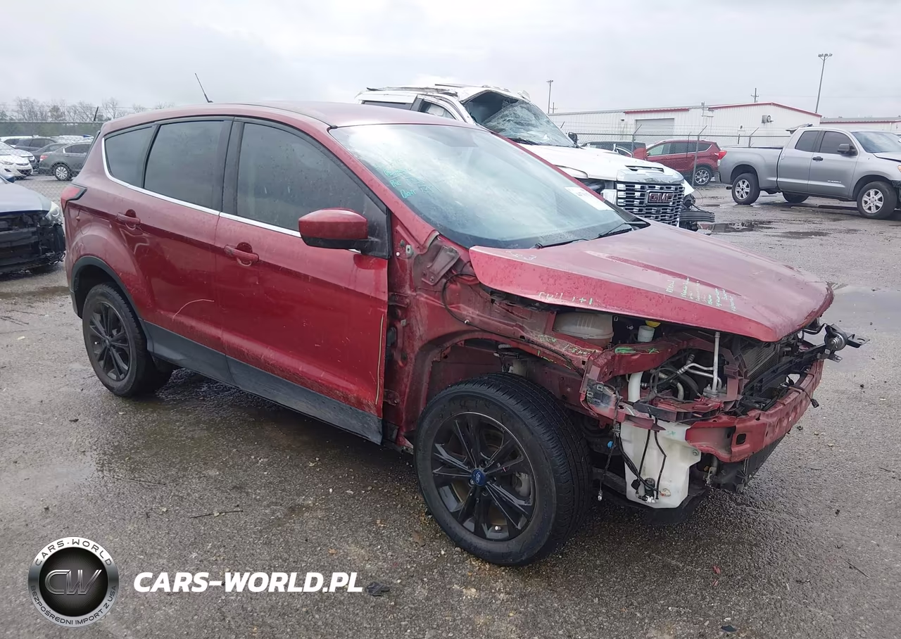 2019 Ford Escape Se