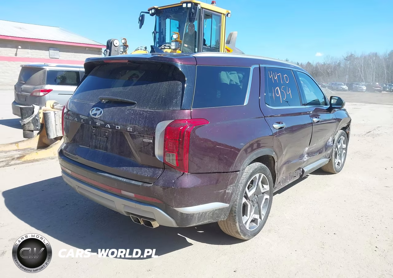 2024 Hyundai Palisade Limited VIN:KM8R5DGE9RU701042 - 4